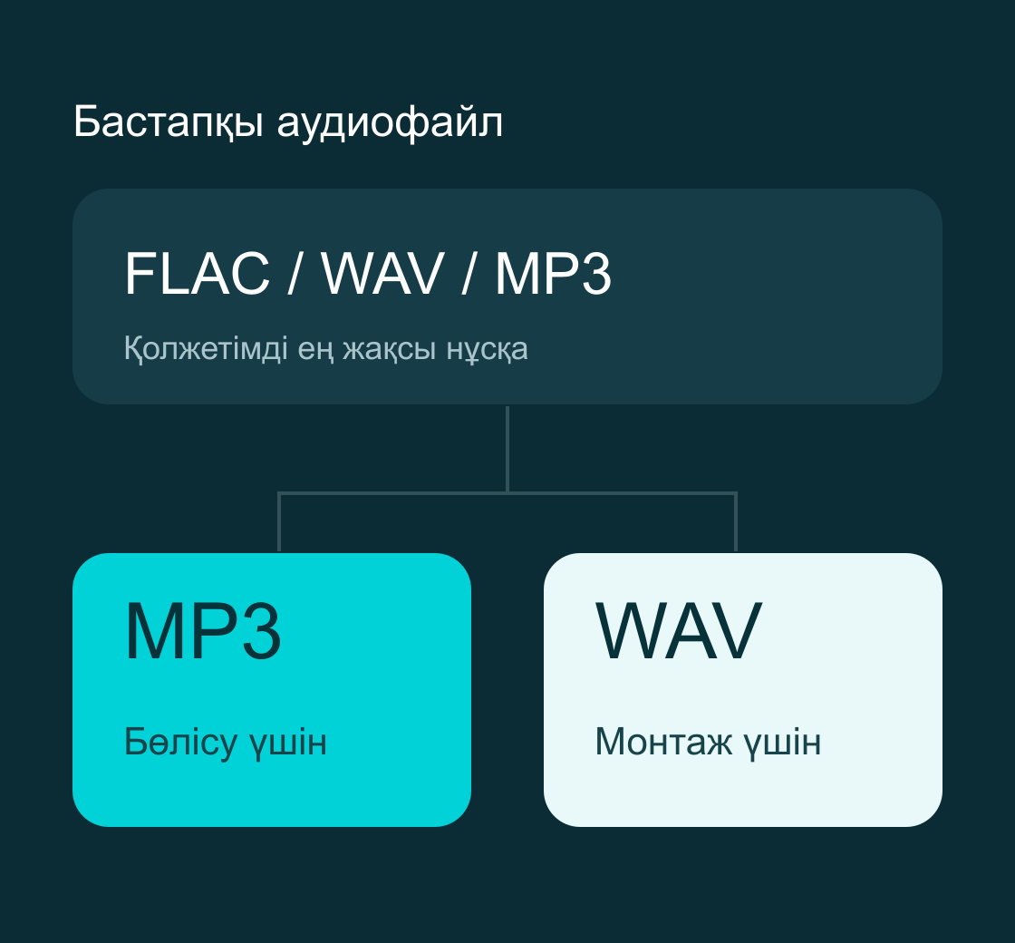 Формат таңдау сызбасы: бастапқы FLAC, WAV немесе MP3 аудиосынан бөлісуге арналған MP3 не монтажға арналған WAV алу.